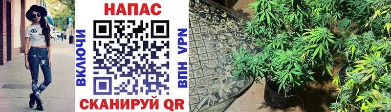 Где купить наркоту Чернушка АМФ  A-PVP  Меф мяу мяу  ГАШИШ 