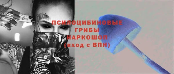 mdpv Новодвинск