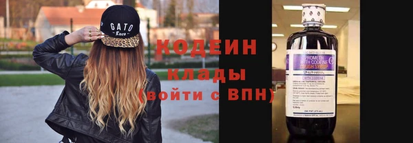 хмурый Арсеньев