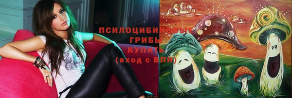 наркотики Новозыбков